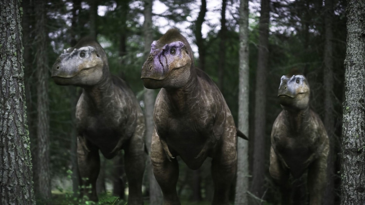 Three Albertosaurus, which look like smaller versions of a T-Rex with pale pink or blue faces, prowl a forest