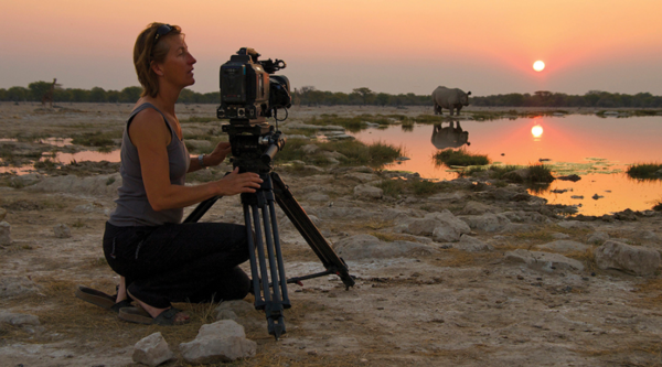 A woman films rhinos at sunset