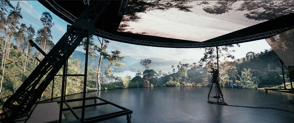 Wall and ceiling-mounted LED screens provide a virtual forest (Credit: ARRI)