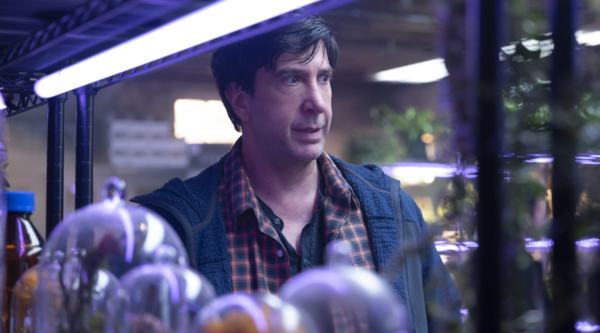 David Schwimmer, a white man in his fifties, looks stressed in a dark laboratory, surrounded by plants and bell jars