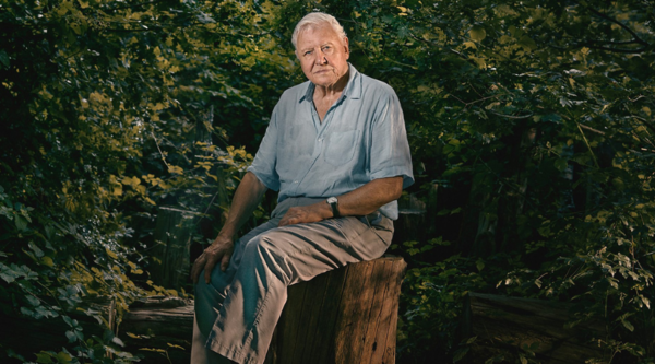 David Attenborough sits on a tree stump in front of green foliage, looking into the camera, unsmiling