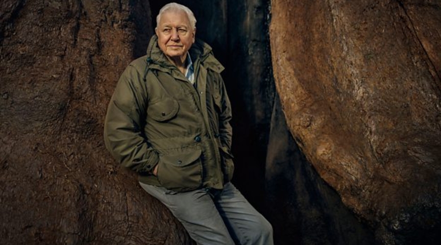 Sir David Attenborough (credit: BBC)