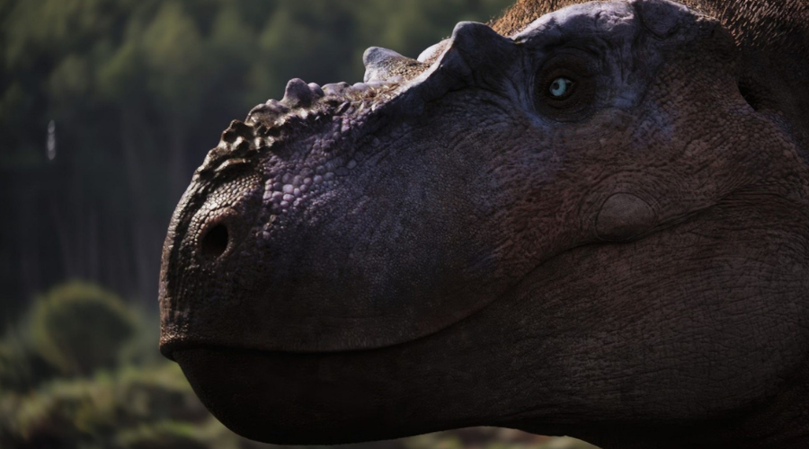 A close-up of the face of a dinosaur, which looks like a T-Rex