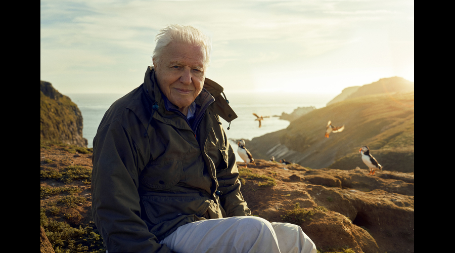 Sir David Attenborough, filming for Wild Isles series, next to Common puffins (Fratercula arctica), Skomer Island, off Pembrokeshire coast, Wales, U.K. Credit: BBC/©Alex Board/Silverback Films 