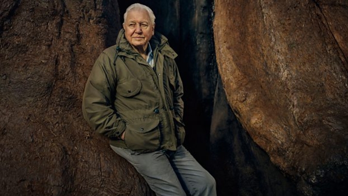 Sir David Attenborough (credit: BBC)