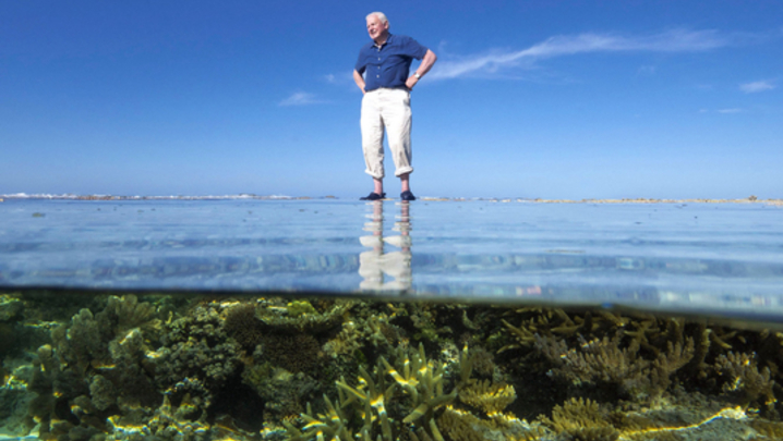Great Barrier Reef with David Attenborough