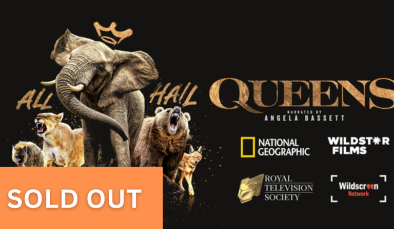 A sold out banner is in front of a promotional image for Queens