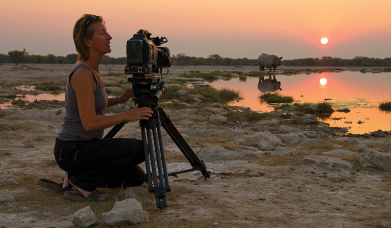 A woman films rhinos at sunset