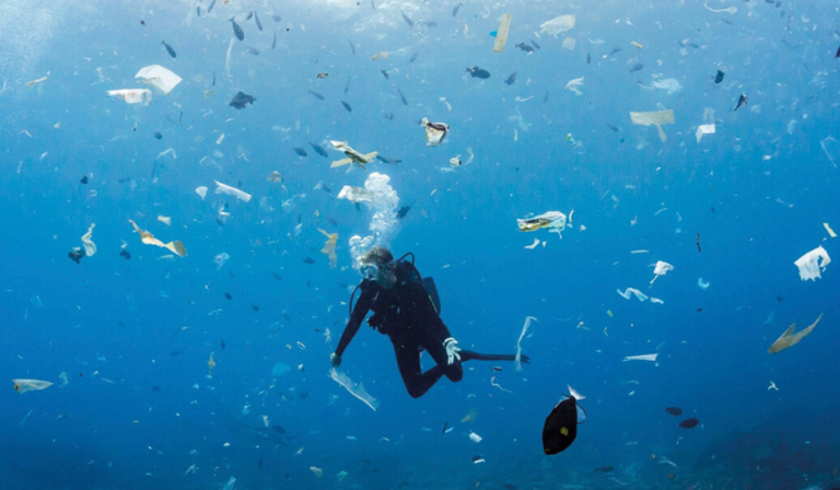 Plastic pollution at Manta Point, off the coast of Indonesia (Credit: Jukka Saarikorpi)