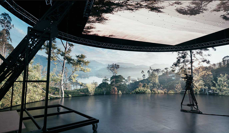 Wall and ceiling-mounted LED screens provide a virtual forest (Credit: ARRI)
